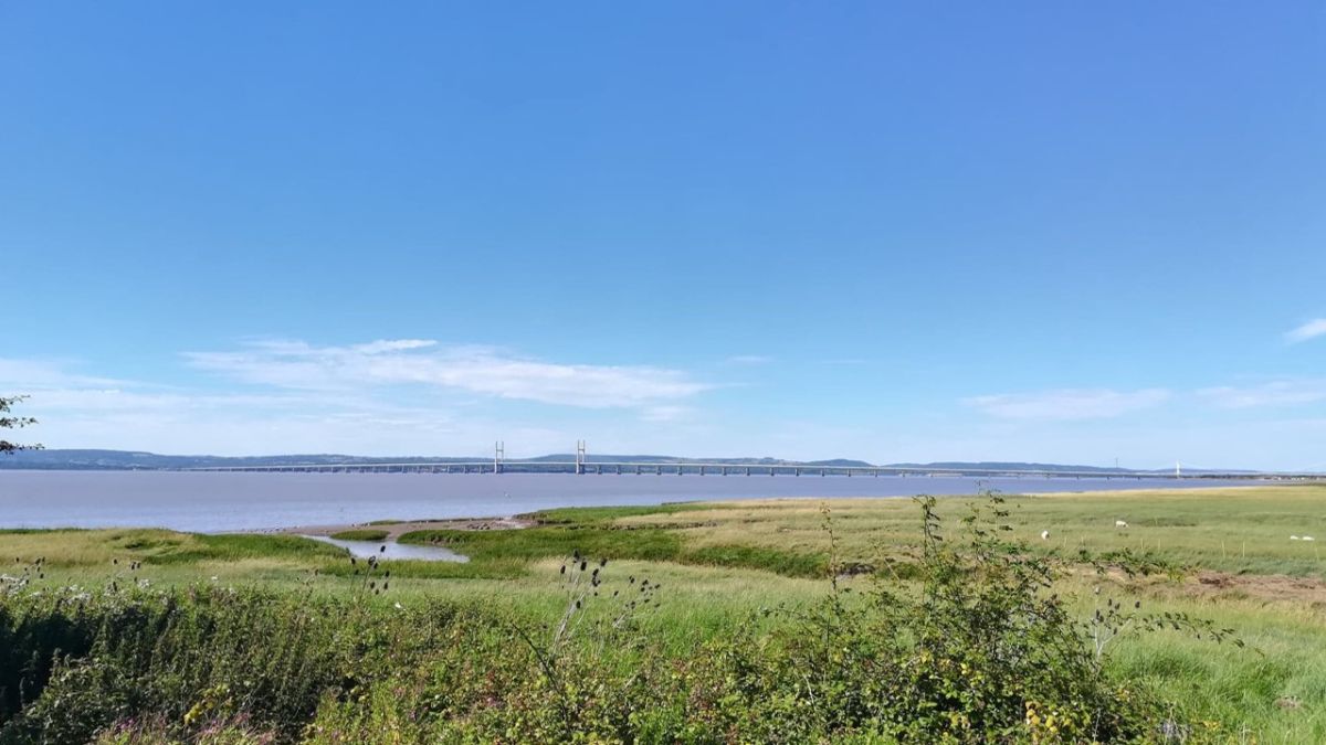 Severn Estuary Commission appoints consultants to drive research for ...